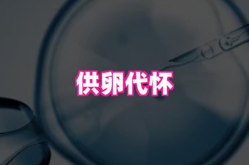 南京助孕网 4